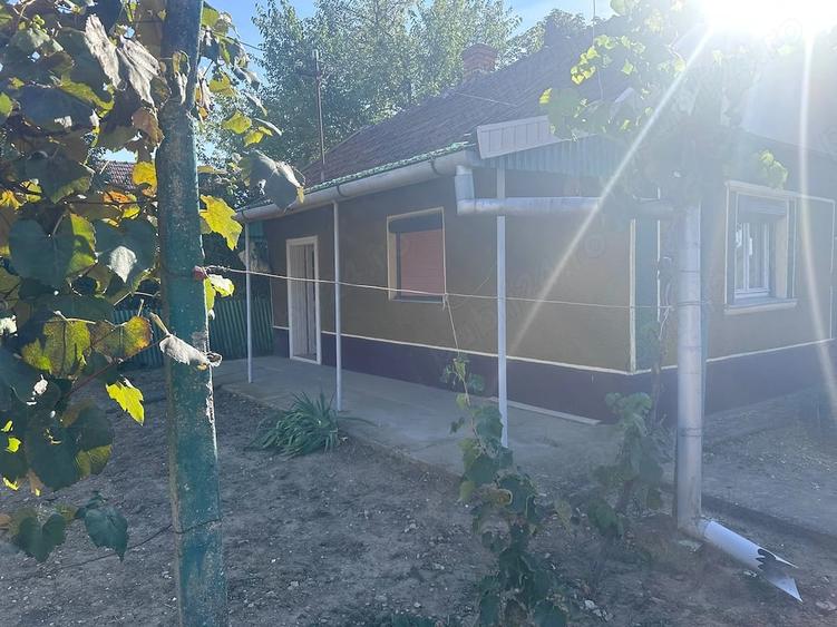 Casă cu Teren 3827 Mp în Central