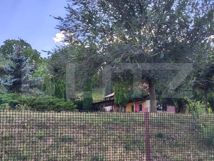 Teren agricol extravilan de 6500 mp, în Mihai Viteazu