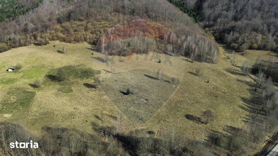 Teren de 16466 mp, în Desești