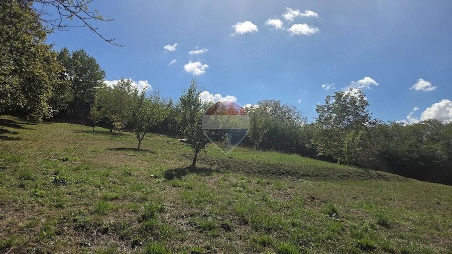 Casă cu Teren 4345 Mp în Calea Sighisoarei