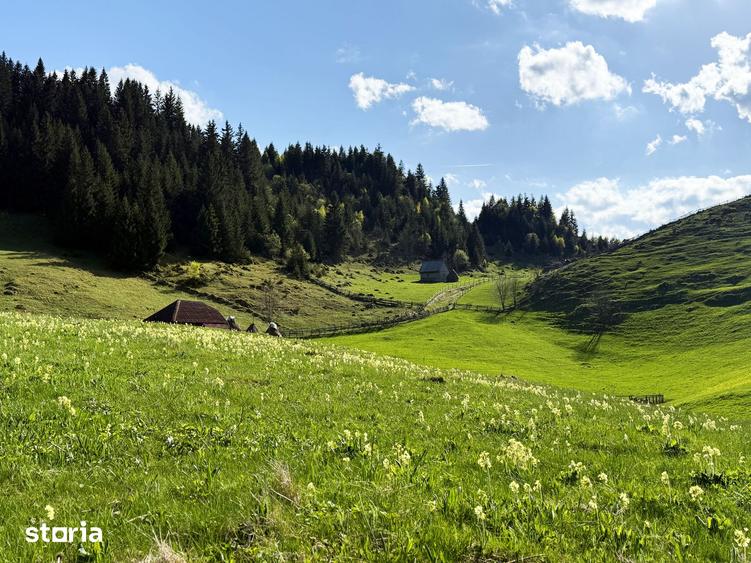 Teren intravilan, 8400 mp, comuna Fundata, zona Bran-Moeciu, Brasov - 7