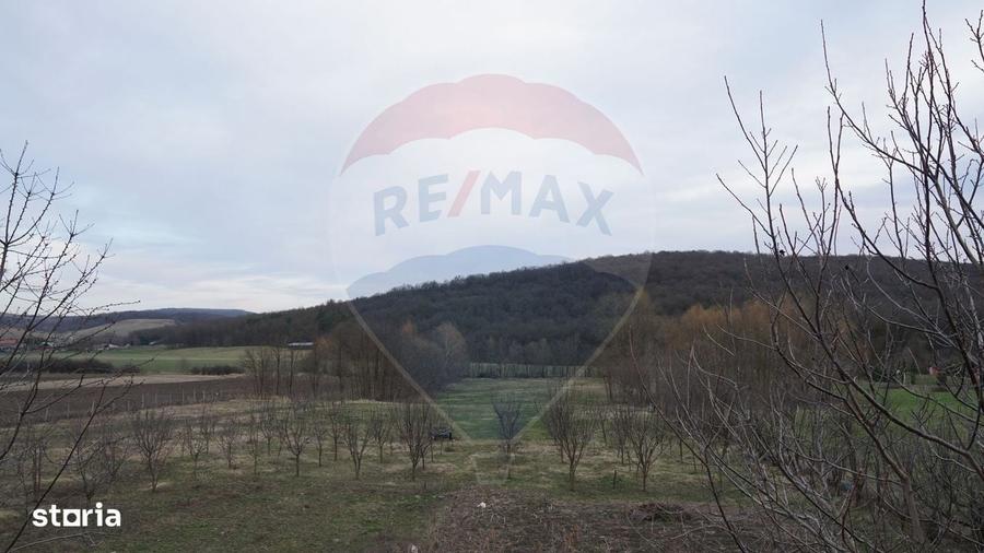 Spațiu comercial, în Barați