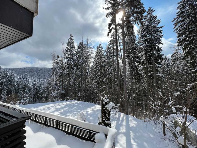 Apartament cu 2 camere semidecomandat în Sud