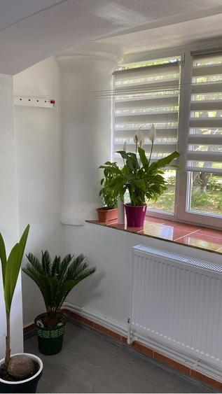 Apartament Deveselu, Olt - 1