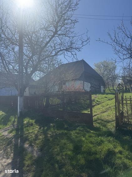 Casă cu 3 camere cu Teren 4500 Mp în Băița