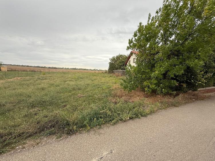 Teren Construcții intravilan de 610 mp, în Frumușani