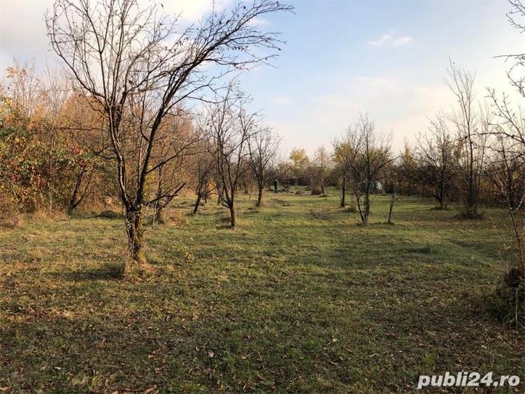 Teren de 1400 mp, în Bănești