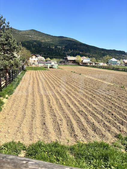 Teren Construcții intravilan de 750 mp, în Vama