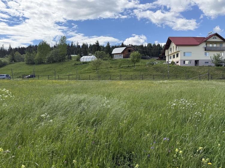 Vand Teren Intravilan Poiana Negrii jud Suceava (Bucovina) - 7