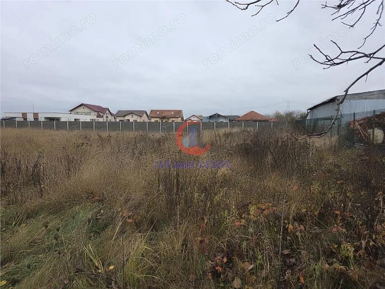 Teren de 759 mp, în Albina