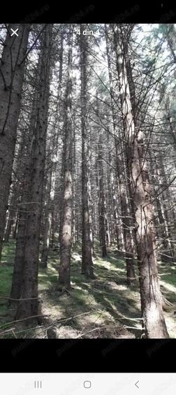 Teren de 2 mp, în Iedu