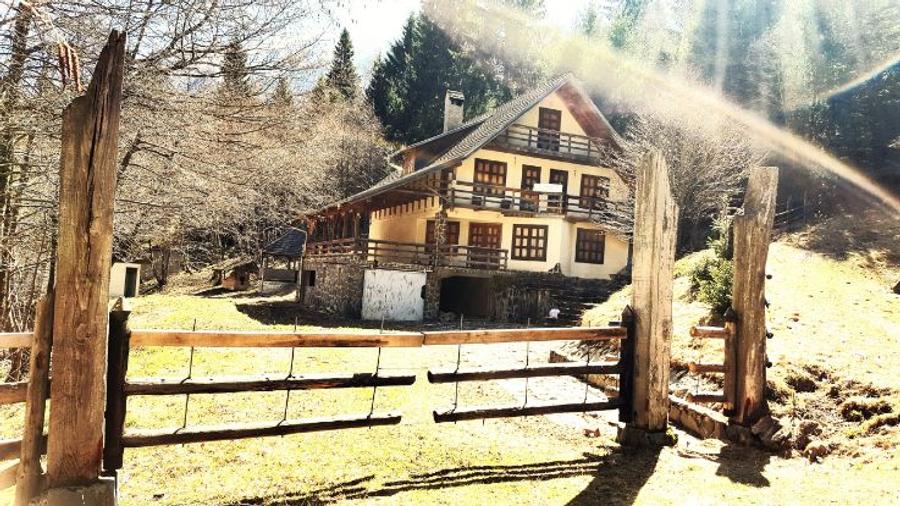 Casă individuală cu 5 camere cu Teren 3884 Mp în Plaiul Foii