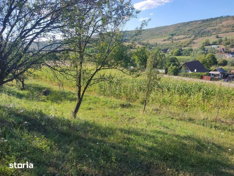 Teren de 2976 mp, în Țaga