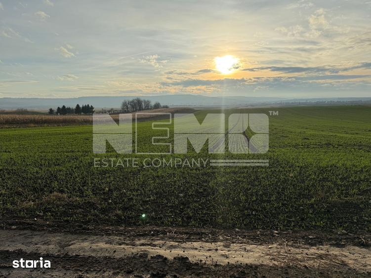 Teren de 1240 mp, în Cacica