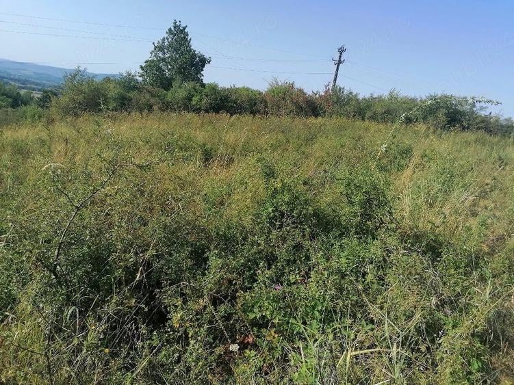 Teren de 5755 mp, în Sud-Est