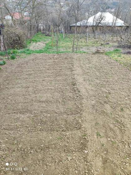 Casă cu Teren 3000 Mp în Moscu
