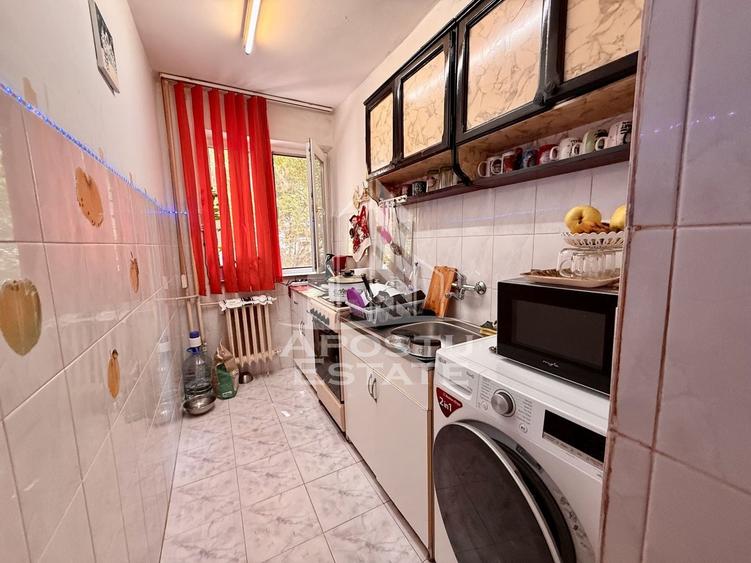 Apartament cu 2 camere nedecomandat, mobilat în Șagului