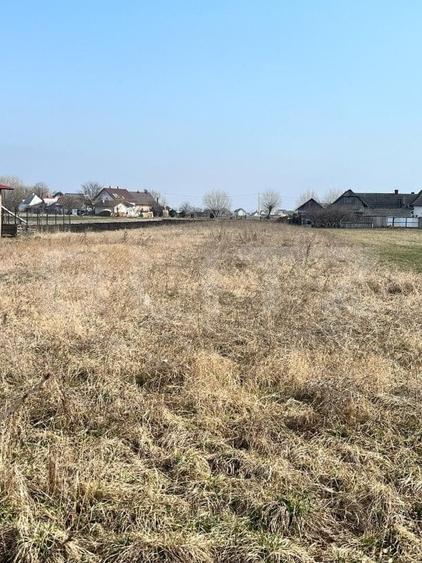 Teren Construcții intravilan de 2690 mp, în Frătăuții Vechi