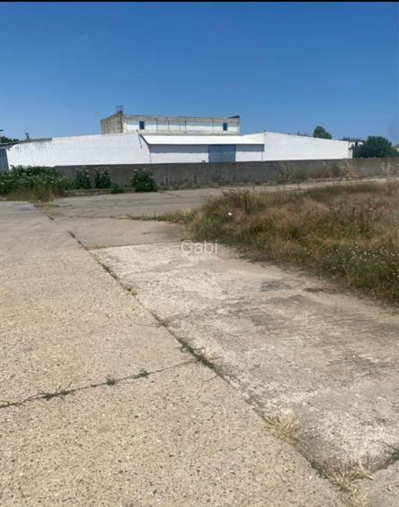 Teren Mangalia zona industriala