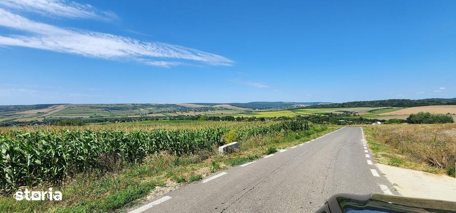 Teren de 21000 mp, în Scânteia