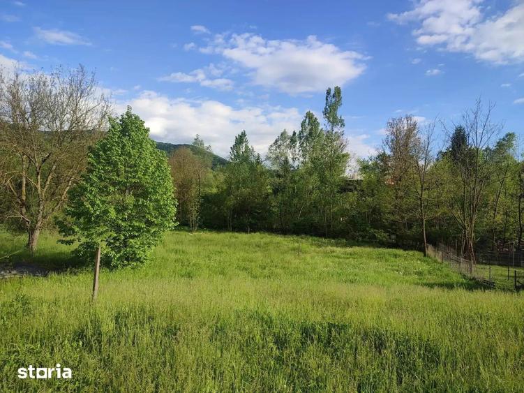 Teren de 1400 mp, în Vișinești