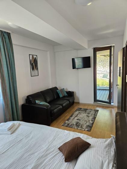Apartament cu 2 camere semidecomandat în Drumul Carului