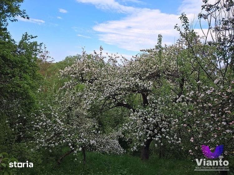 Casă cu 3 camere cu Teren 909 Mp în Poiana Sibiului