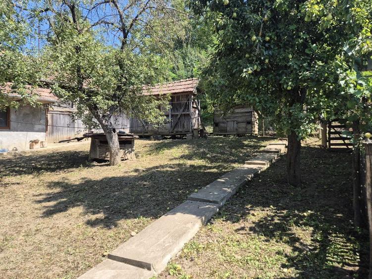 Casă cu 3 camere în Răzoare