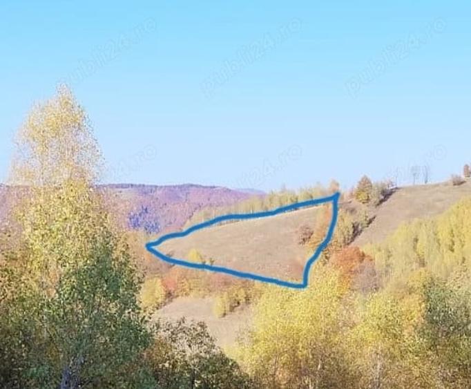 Vand teren extravilan Poiana Marului Brasov - 3