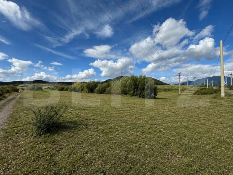 Teren de 2000 mp, în Livezile