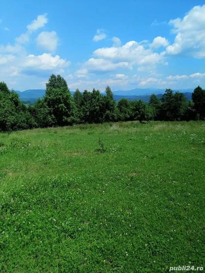 Teren de 4500 mp, în Albești