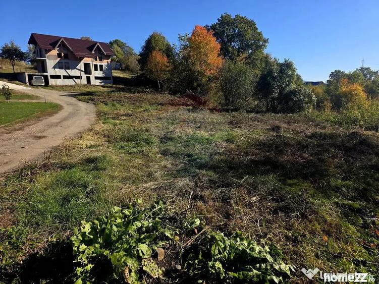 Casă cu 5 camere cu Teren 2700 Mp în Alexandru cel Bun