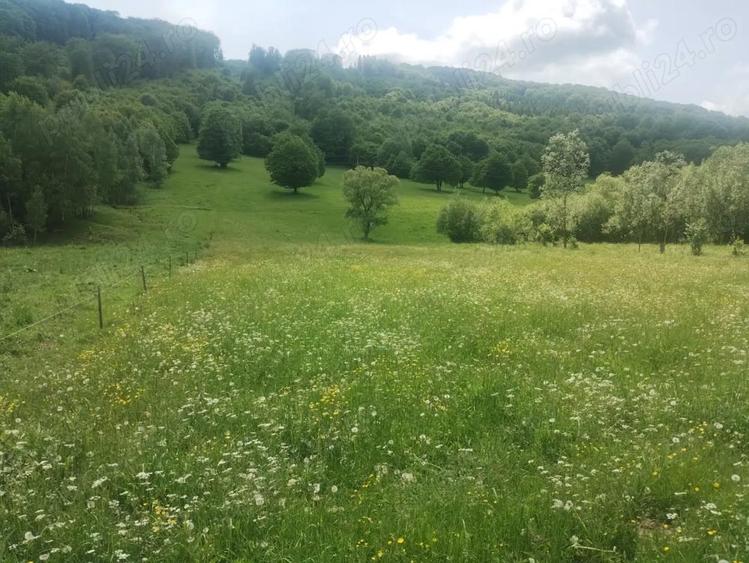 Teren de 5800 mp, în Scrădoasa