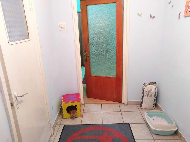 Apartament cu 3 camere semidecomandat în Giurgiului