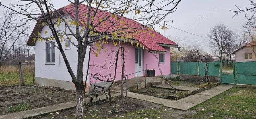 Casă cu 2 camere cu Teren 1439 Mp în Cruceni