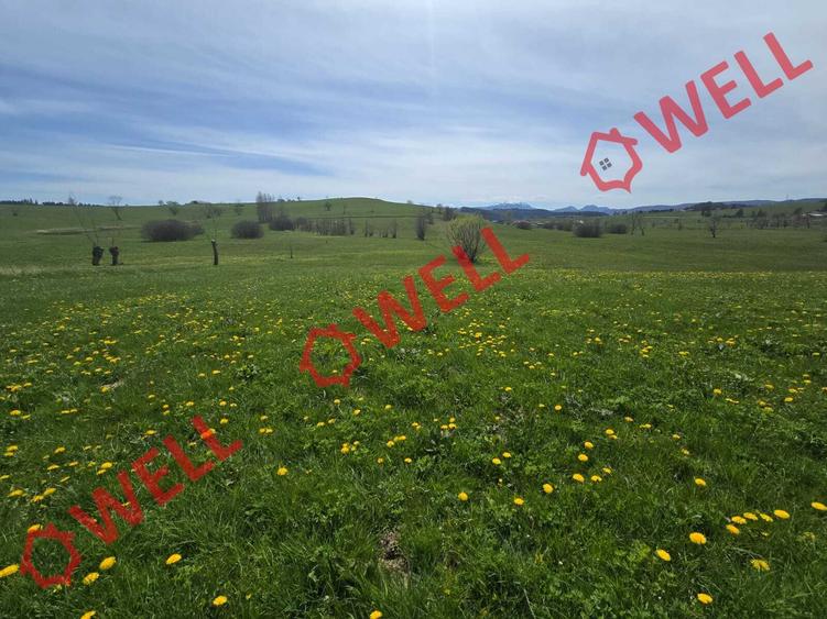 Teren agricol extravilan de 6519 mp, în Sărămaș