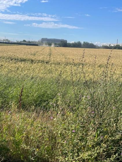 Teren Construcții intravilan de 6750 mp, în Bragadiru