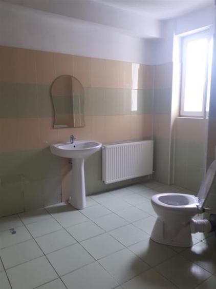 Casă individuală cu 8 camere cu Canalizare în Pache Protopopescu