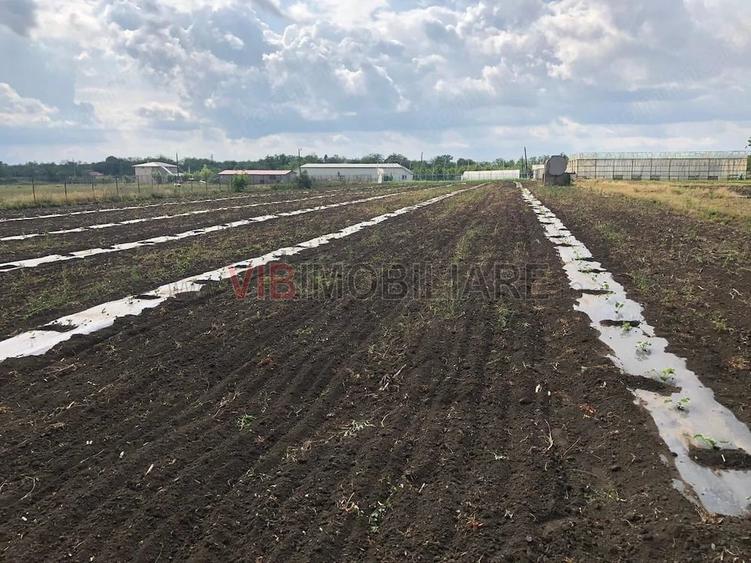 Teren de 30000 mp, în Nicolae Bălcescu