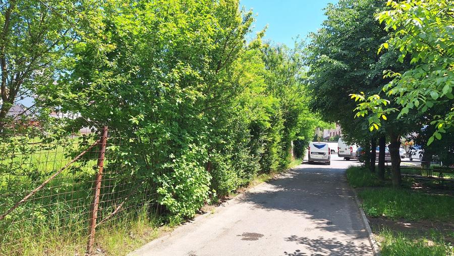 Teren Construcții intravilan de 3400 mp, în Sud