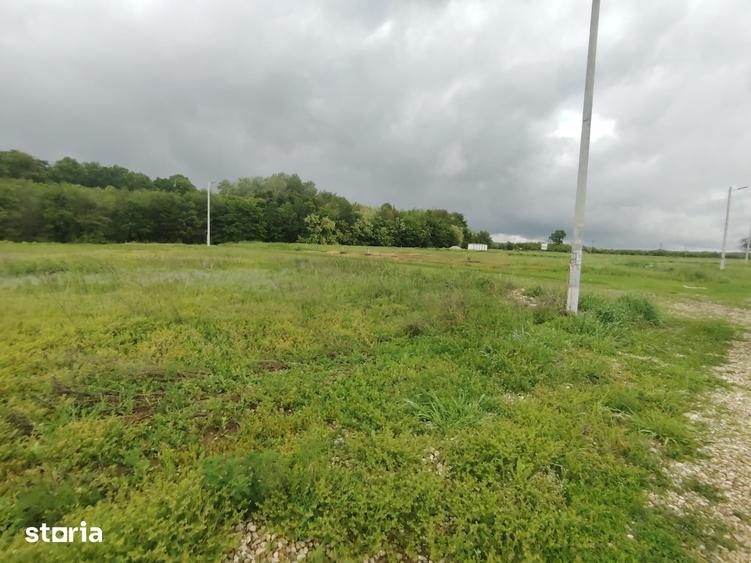 Teren intravilan - 860 mp - Deschidere 20 mp - Eforest - Crevedia - 3