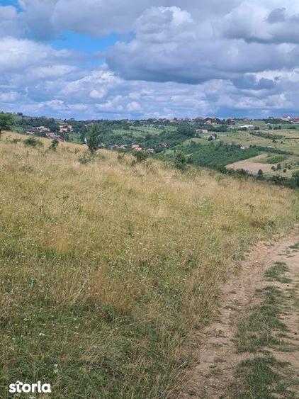 Teren de 2500 mp, în Ciurila