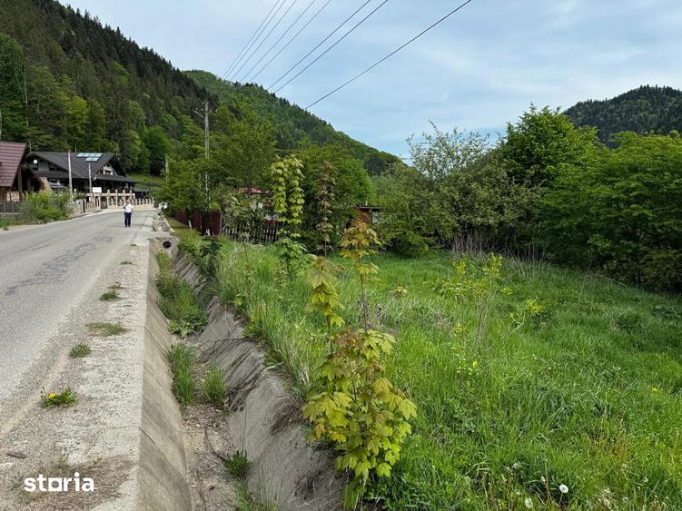 Terende vanzare 4.300 mp Brate?-Tarcau,Neam?-Poten?ial turistic - 4