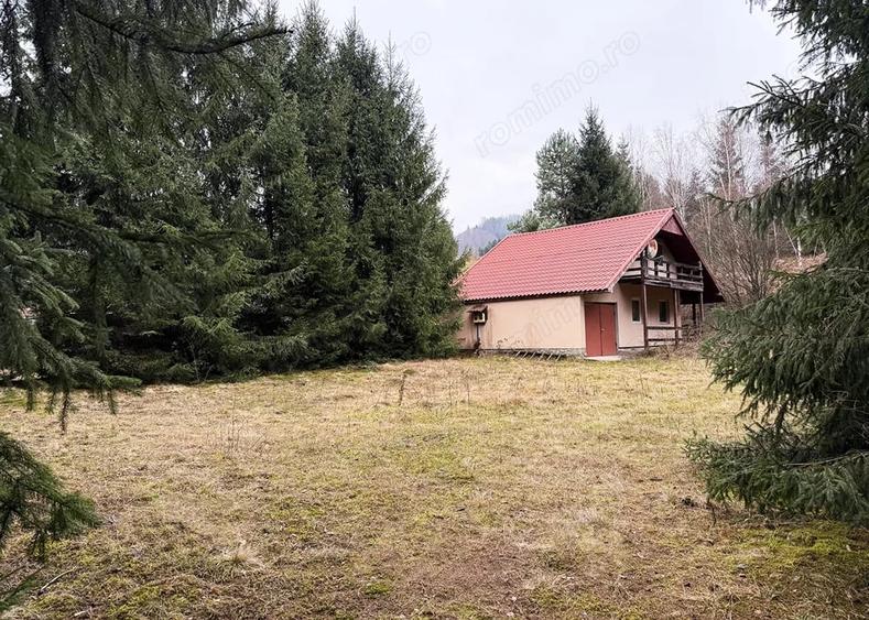 Casă cu Teren 1400 Mp în Bulz