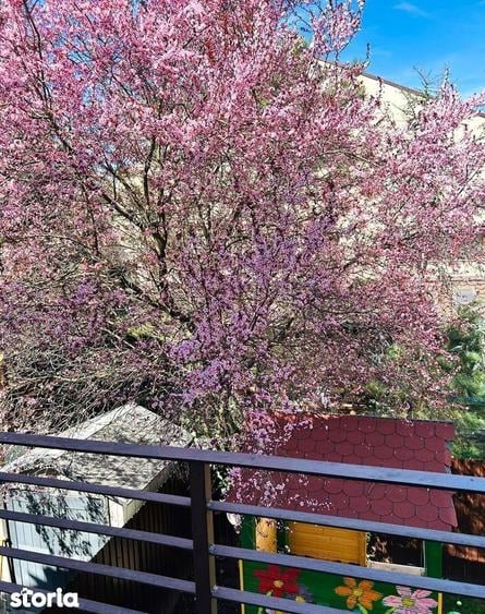 Casă cu 5 camere cu Canalizare în Bucureștii Noi