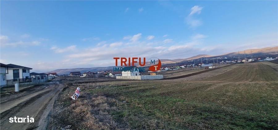 Spațiu comercial, în Bărăbanț