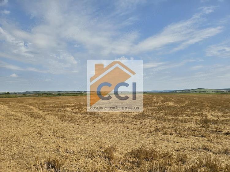 Teren intravilan 50.000 mp, Bacau, ?oseaua Hol - 2