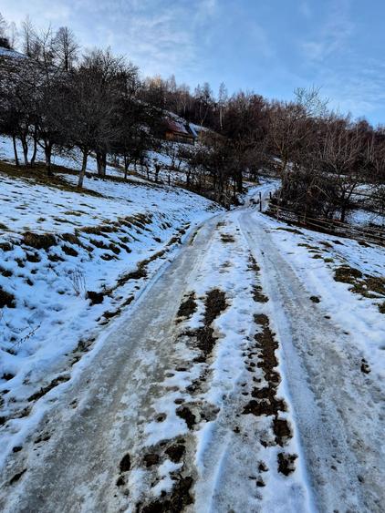 Teren Construcții intravilan de 4318 mp, în Șimon