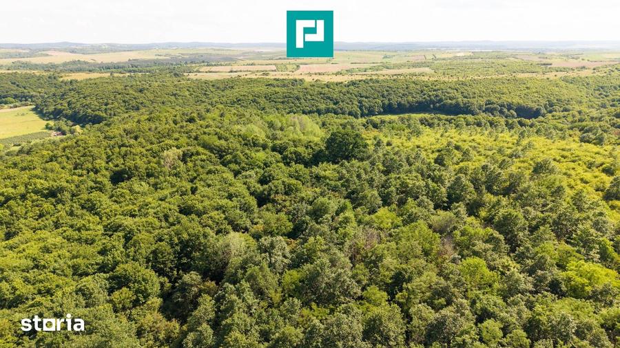 Teren de 22900 mp, în Central