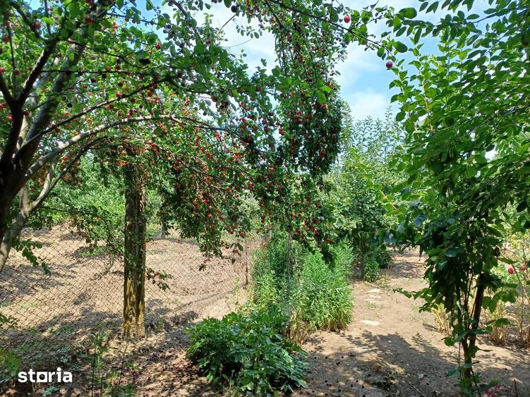 Casă cu 4 camere cu Teren 458 Mp în Central